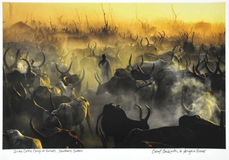  ANGELA BECKWITH Cattle camp at sunset Southern Sudan by ANGELA BECKWITH