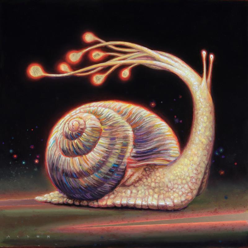  Allen Douglas Starburst Snail