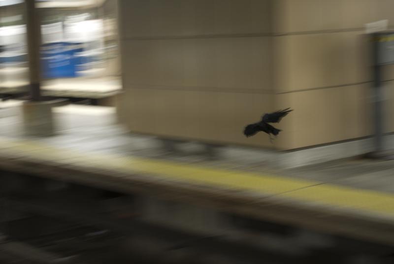  Charles Martin Photography Flight train station leaving New York City 