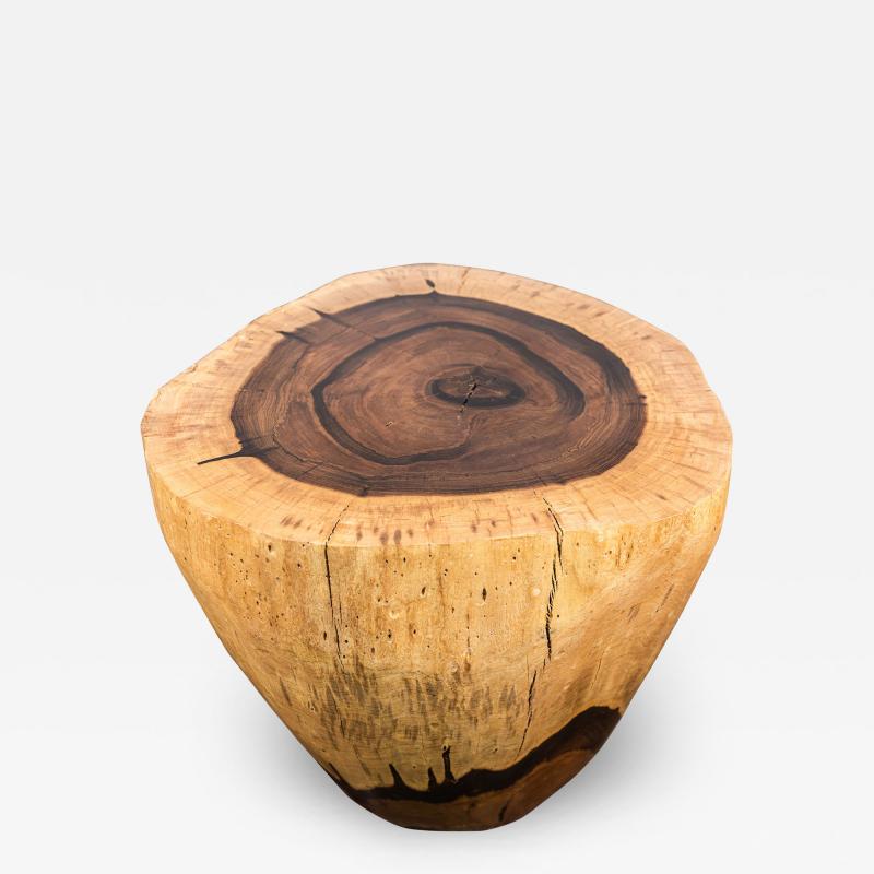  Costantini Design Carved Live Edge Solid Wood Trunk Table 31 by Costantini Francisco in Stock