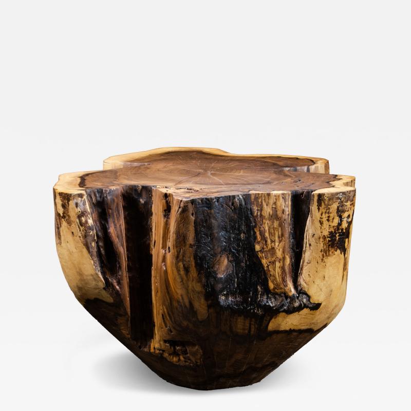  Costantini Design Carved Trunk Solid Exotic Wood Live Edge Table 41 from Costantini Francisco