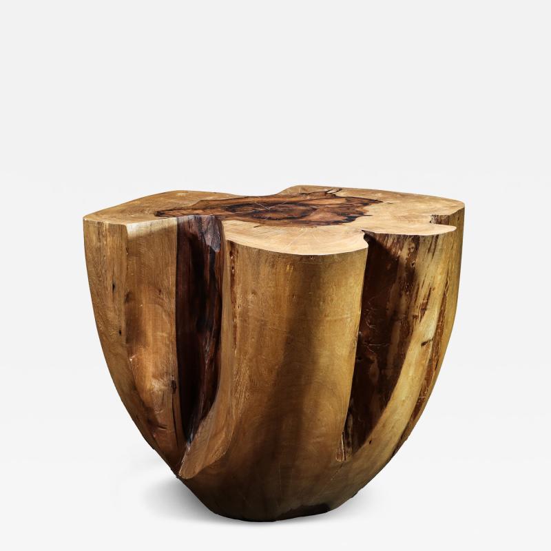  Costantini Design Carved Trunk Solid Exotic Wood Live Edge Table 43 from Costantini Francisco
