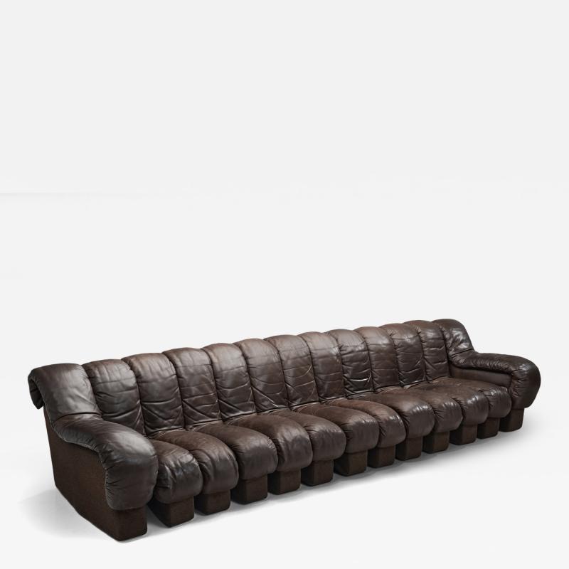 Eleanore Peduzzi Riva DS 600 Snake Sofa by Berger Peduzzi Riva Ulrich and Vogt Switzerland 1972