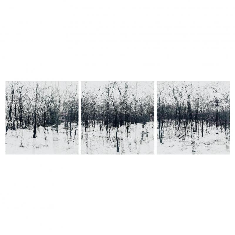  Elena Lyakir Elena Lyakir Triptych Feels Like Home Bridgehampton NY Photograph 2016