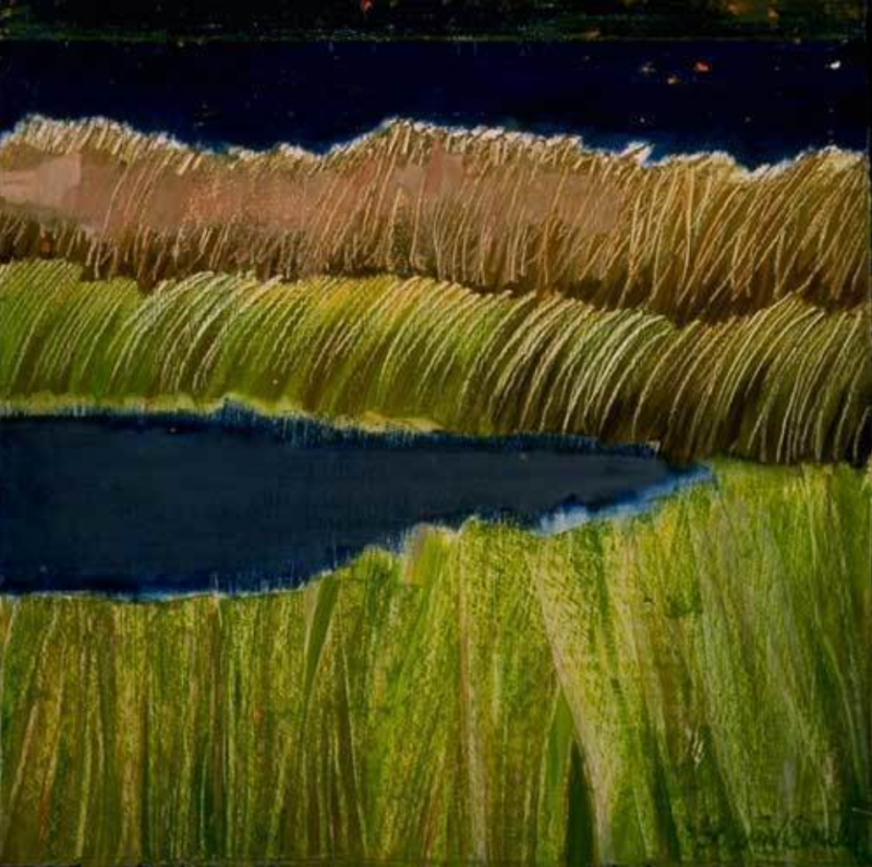  Ellen Sinel Grasses Series Black Pond 1 2002