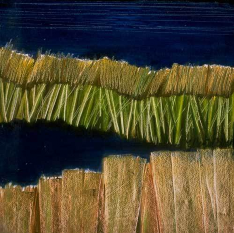  Ellen Sinel Grasses Series Black Pond 3 2002