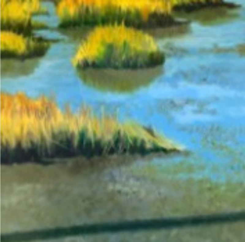  Ellen Sinel Tidal Marshes II 2016