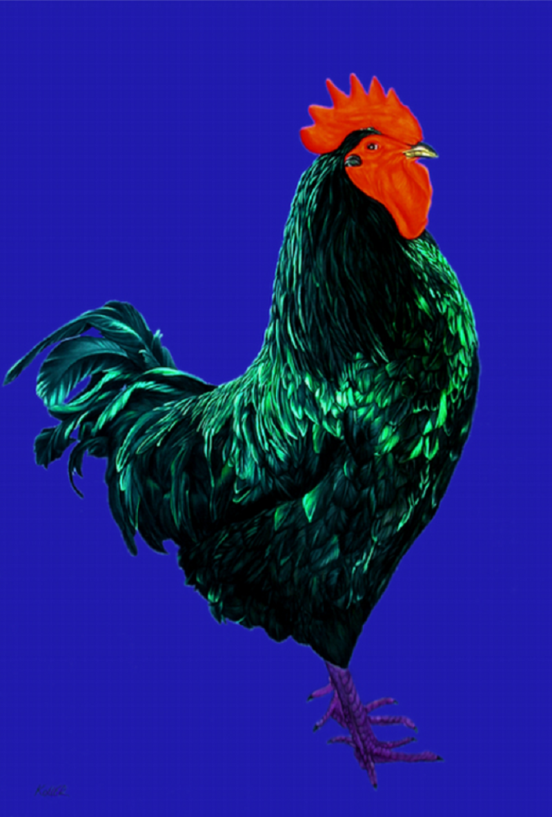  Helmut Koller Rooster on Dark Blue Background 2004