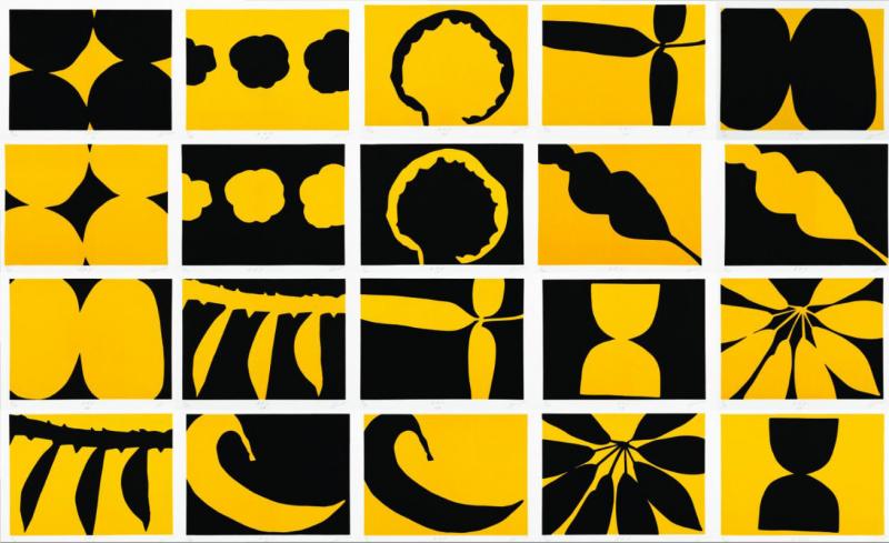  JAN HENDRIX A N Y After Nature Yellow by JAN HENDRIX