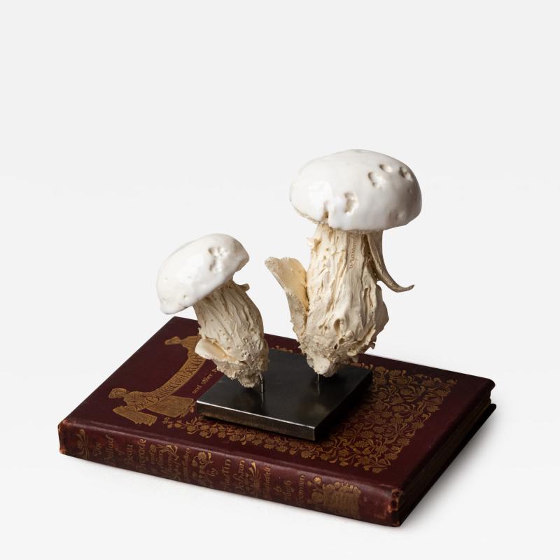  Jean Paul Gourdon SCULPTURE OF TWO MUSHROOMS IN UNGLAZED AND GLAZED WHITE FA ENCE