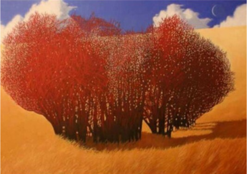  John Grazier Burning Bush 2006