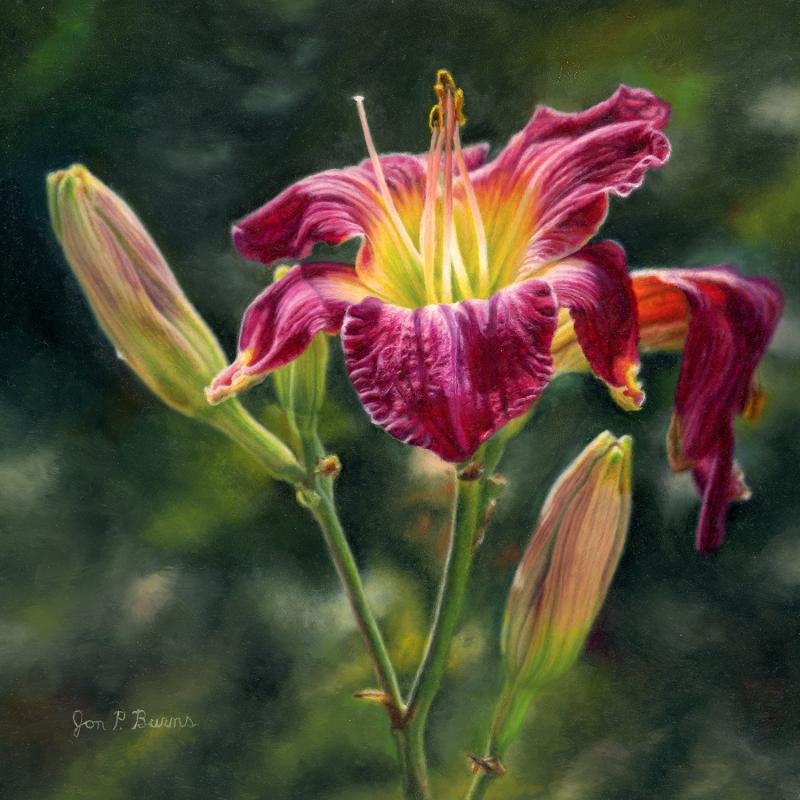  Jon Burns Splash of Light Daylily 