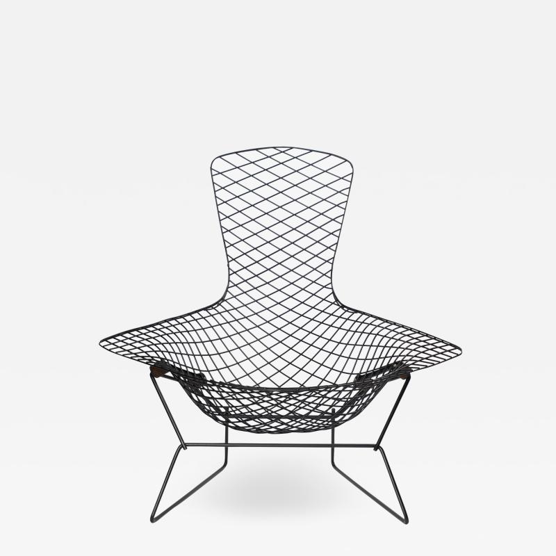  Knoll Early Bertoia Bird Chair in Outdoor Grade Powdercoat by Harry Bertoia for Knoll