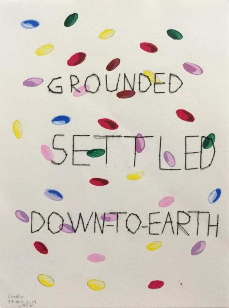  Leila Pazooki Grounded Setteled Down To Earth 2015