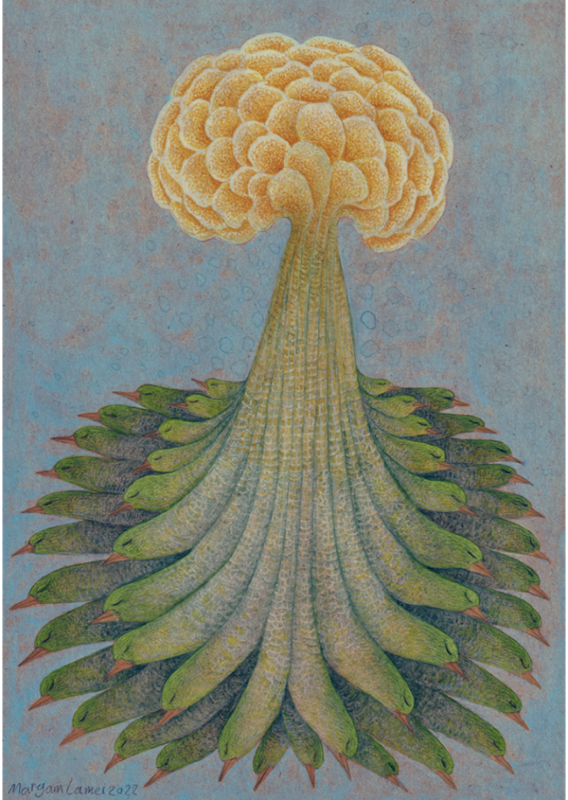  MARYAM LAMEI I am not the only one in love with you there are thousands of nightingales