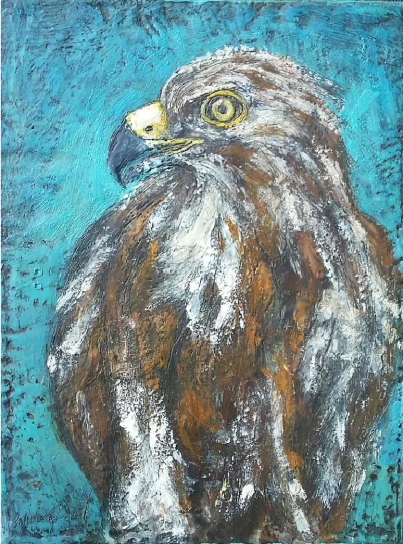  Marcie Wolf Hubbard Red Tailed Hawk 2017