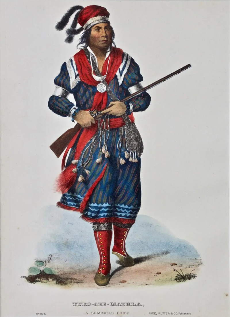  McKenney Hall Original Hand Colored McKenney Hall Engraving Tuko See Mathla Seminole Chief 