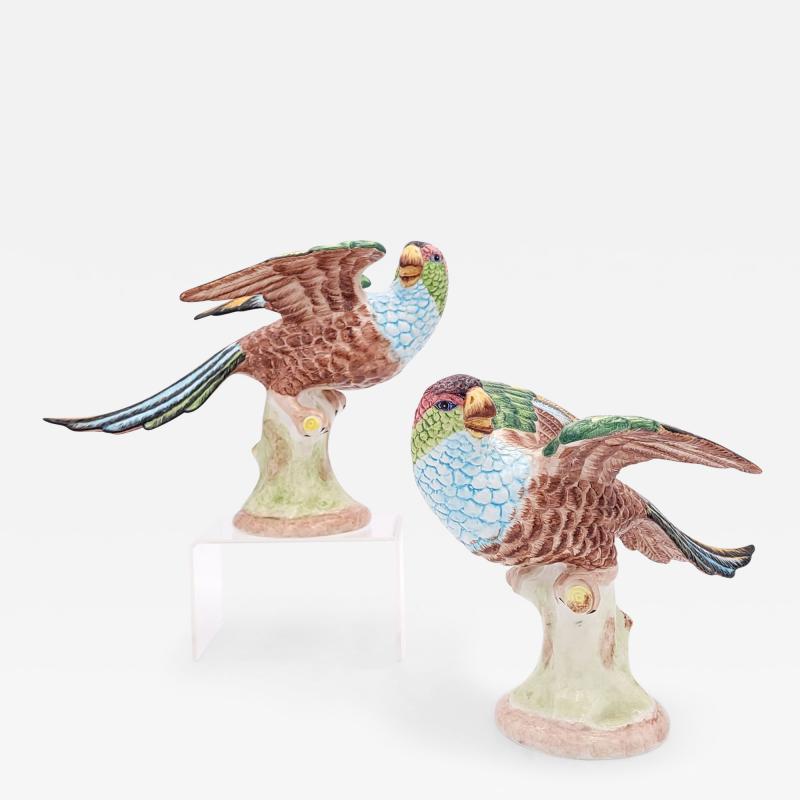  Mottahedeh Mottahedeh Pair of Parrots Italy circa 1950