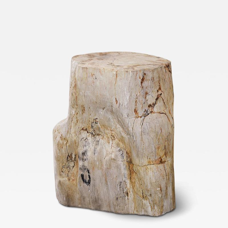  Pfeifer Studio Petrified Wood Log Table S01