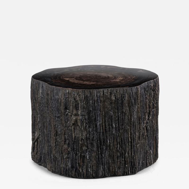  Pfeifer Studio Qara Petrified Cocktail Table