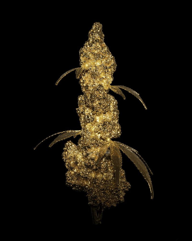  Ras Boss Afghan Ethiopian Cannabis Bud