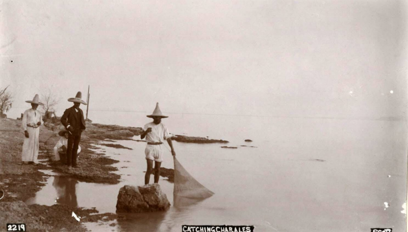  Scott Catching Charales Plaza de San Francisco 1900