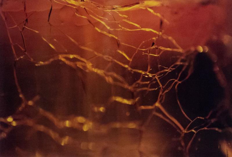  Shelley Harrison Color Abstract Photograph