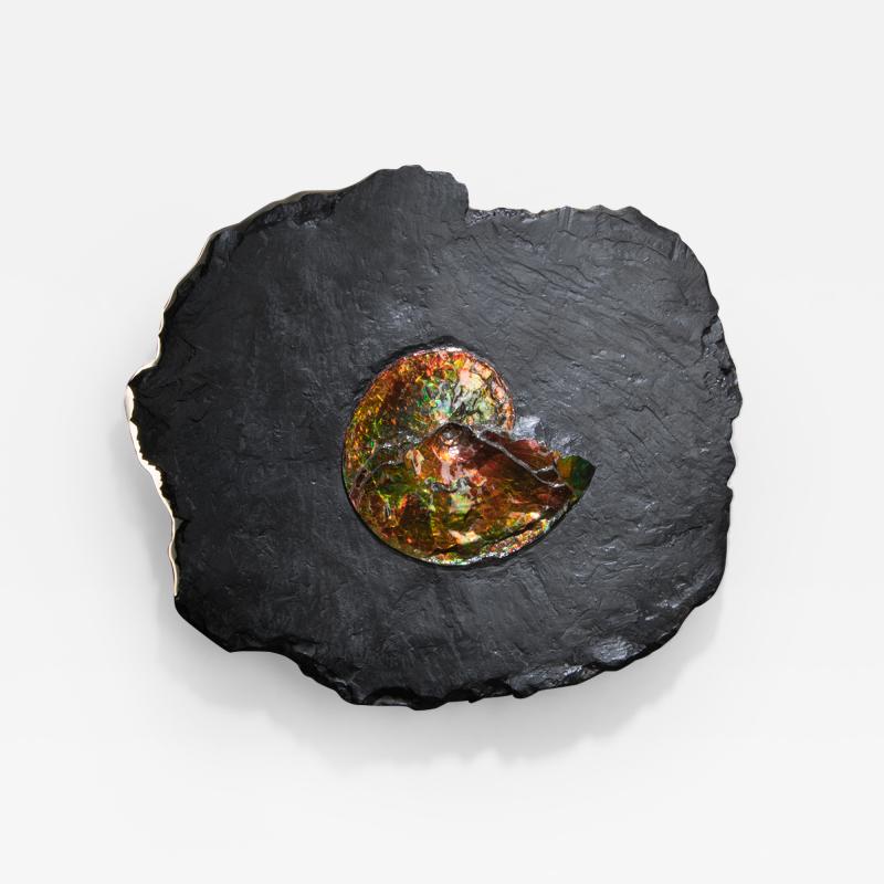  Studio Greytak Studio Greytak Ammonite on Bronze Ammonite and Mirror Polished Bronze Wall Art