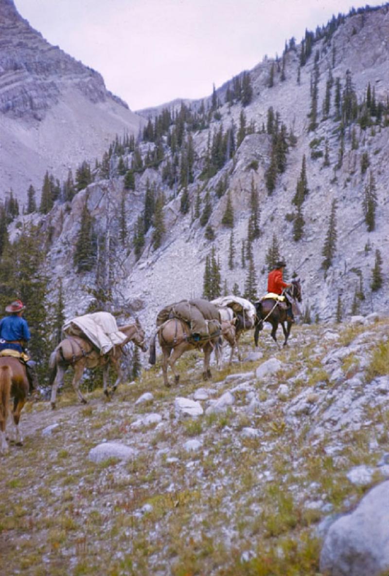  Toni Frissell A Pack Trip In Wyoming