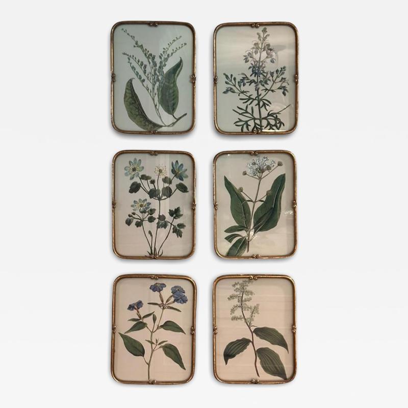  Uttermost Set of 6 Uttermost Botanical Prints in Gilt Metal Frames