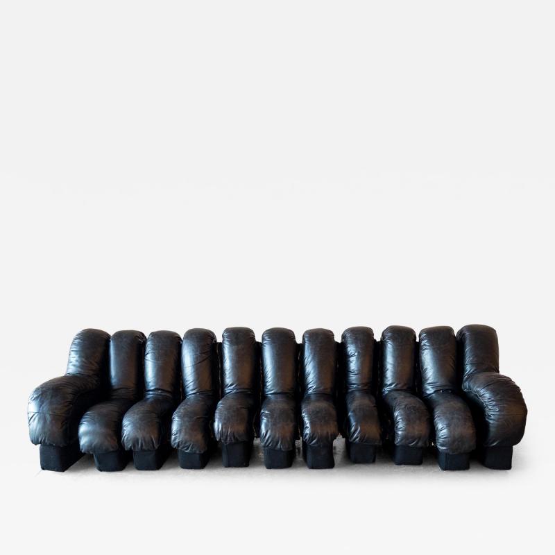  de Sede De Sede DS 600 Snake Sectional Sofa in Leather