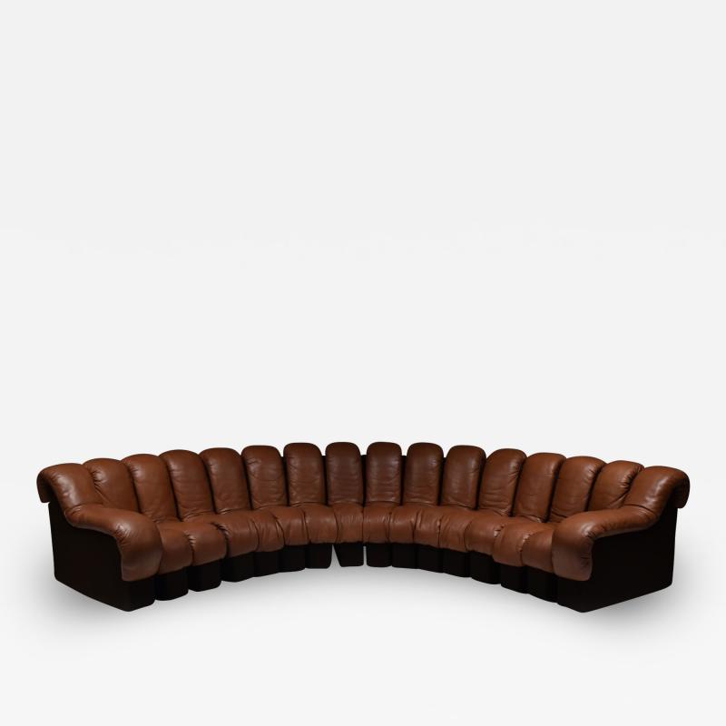  de Sede De Sede Snake DS 600 Sectional Sofa 1972