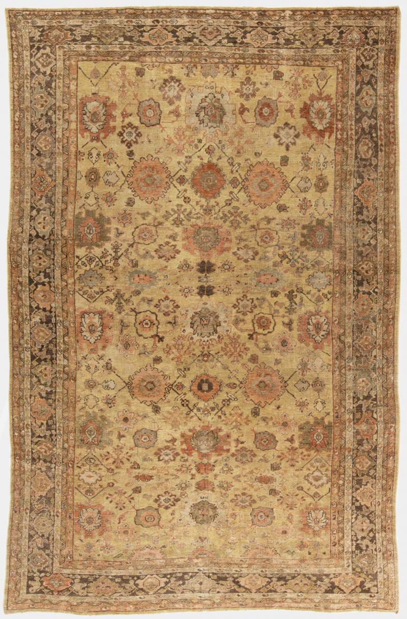 19th Century Persian Sultanabad Botanic Handmade Wool Rug