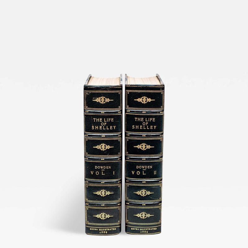 2 Volumes Edward Dowden The Life of Percy Bysshe Shelley 
