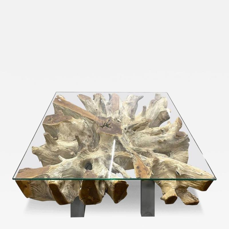 21st Century Organic Modern Teak Root Coffee Sofa Table Glass Plate IDN 2024