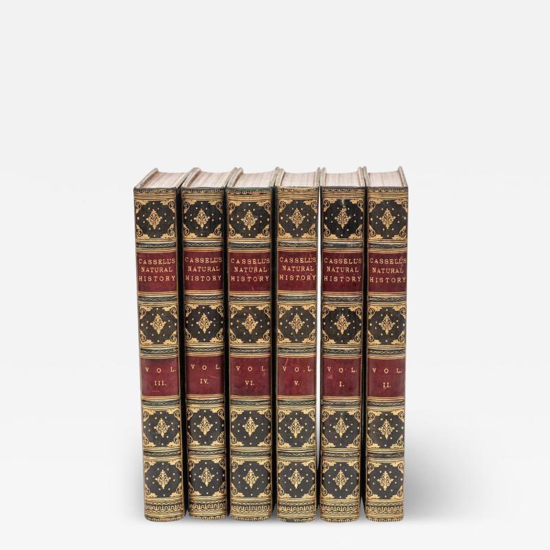 6 Volumes Edited by P Martin Duncan Cassells Natural History 