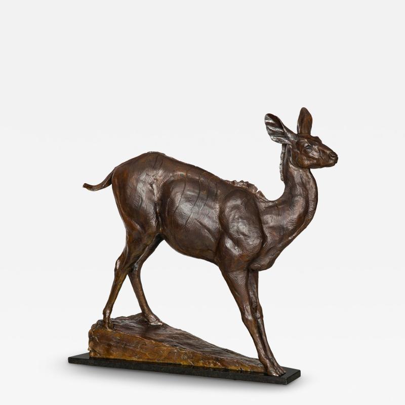 A Young African Kudu 2001 Dan Ostermiller