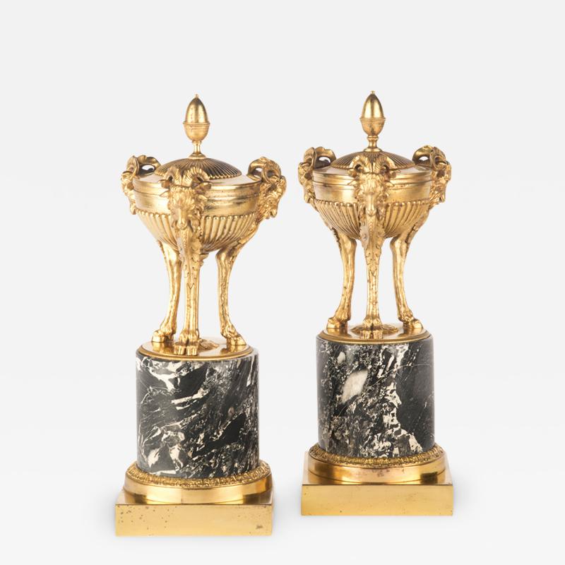 A pair of Regency classical gilt bronze vases