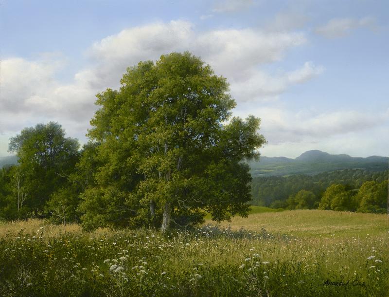 ANDREW ORR A Summer View to Middlesex VT