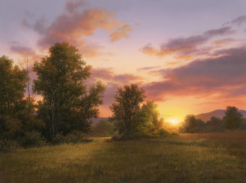 ANDREW ORR Softly Falls the Light of Day
