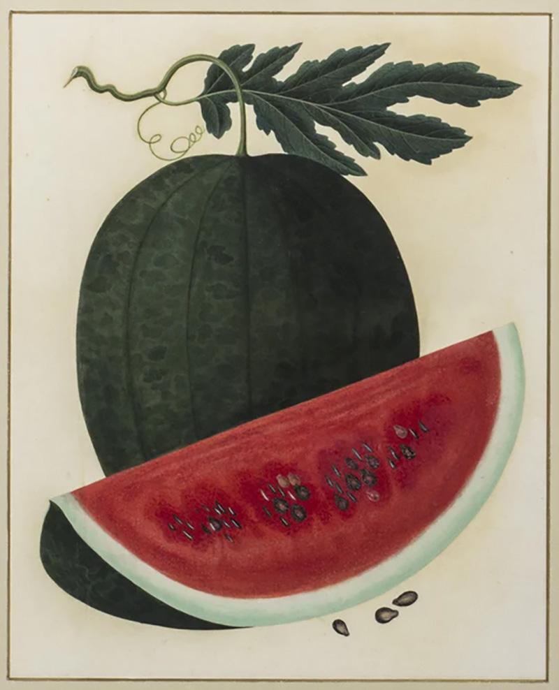 ANGLO CHINESE SCHOOL WATERMELON