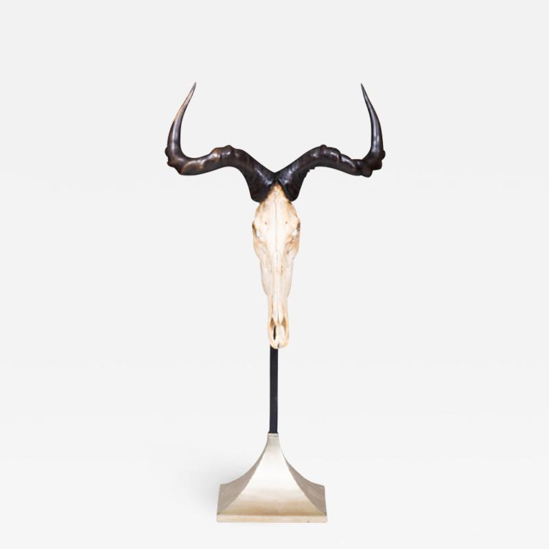 ANTELOPE HUNTING TROPHY MOUNTED ON A ZINC STAND 