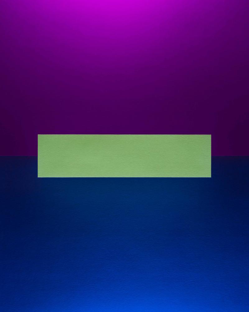 Adam Rose 113 Purple and Blue with Light Green