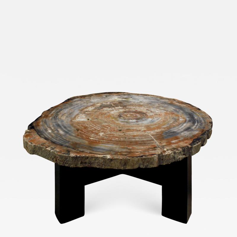 Ado Chale Ado Chale Rare Fossilized Wood Top Coffee Table 1960s