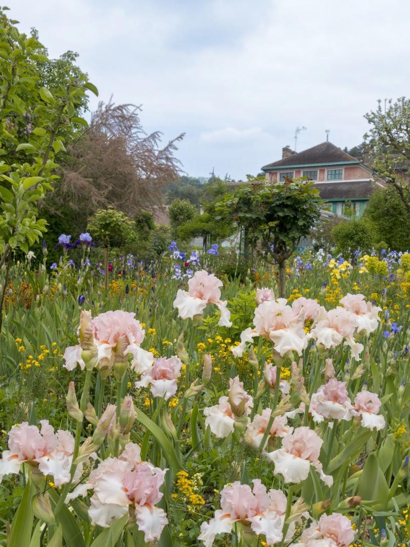 Aileen Bordman Giverny 47 2018