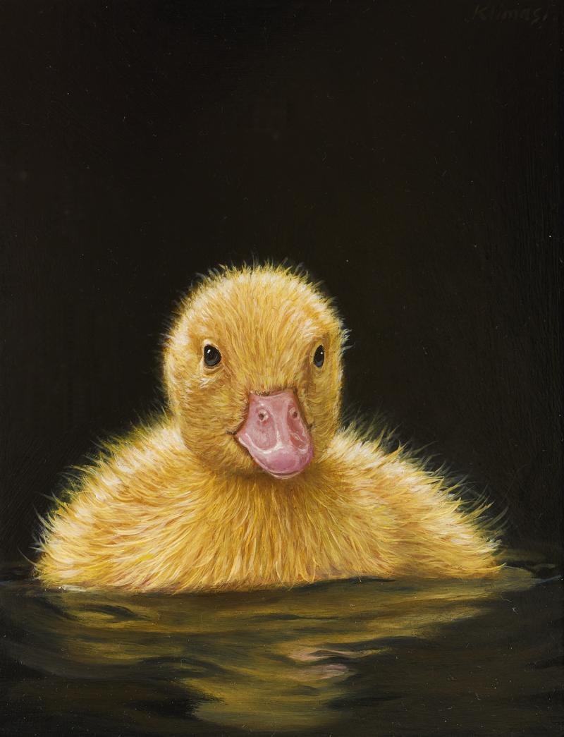 Alexandra Klimas Duckling Elsie