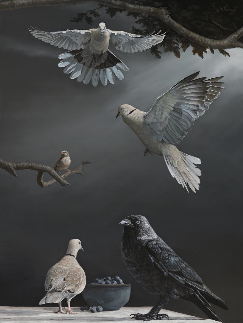 Alexandra Klimas Housesparrow