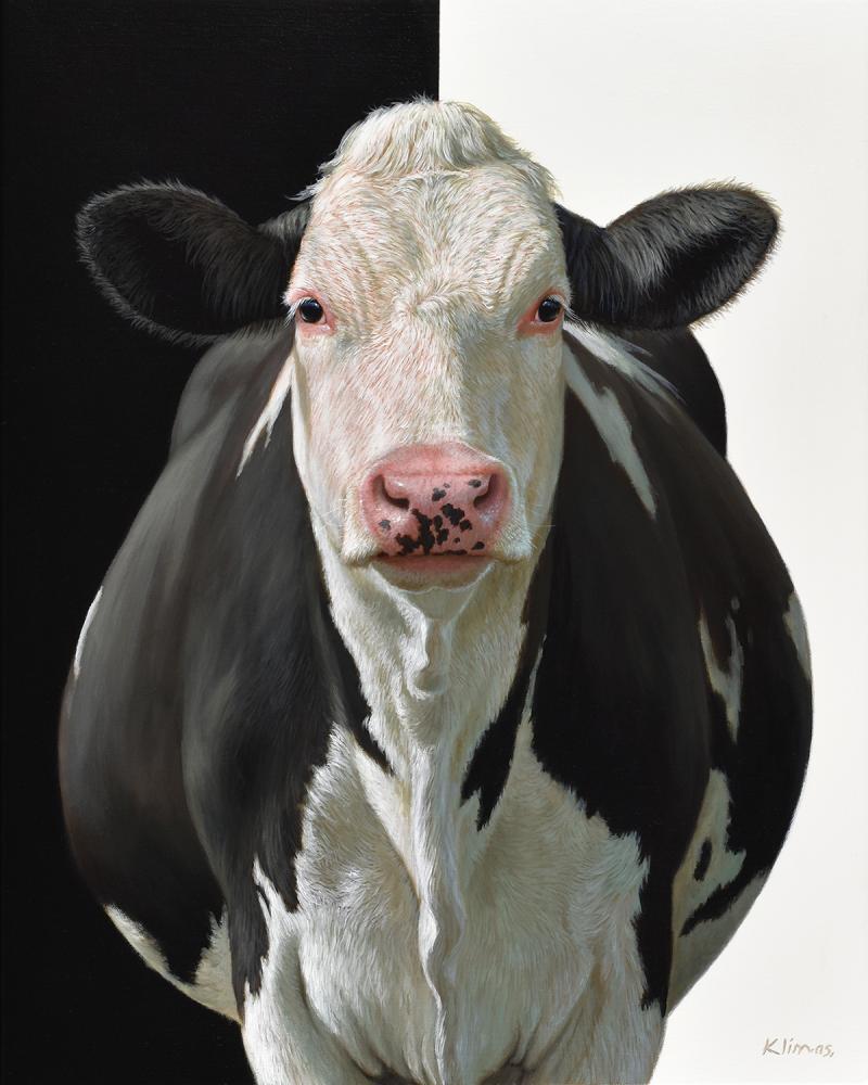 Alexandra Klimas Janneke the Cow