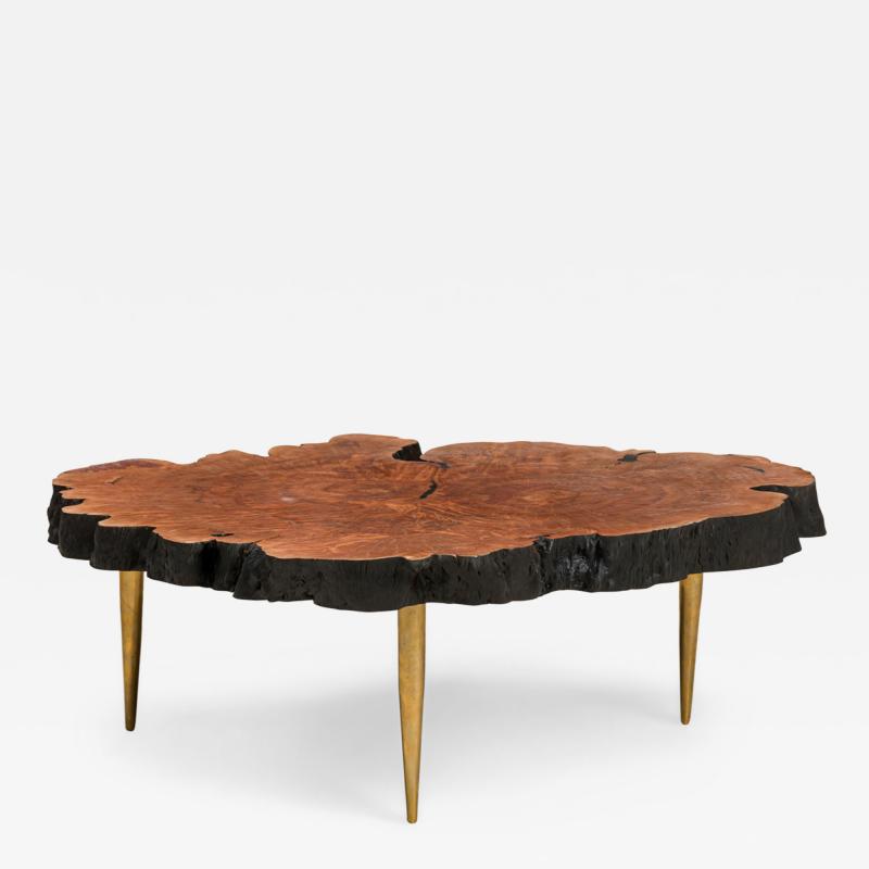 Almada Contemporary Modern Live Edge Petrified Wood and Brass Coffee Table