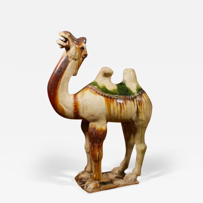 An original Sancai glazed Tang camel Tang Dynasty 618 907 AD